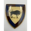SADF Army College Step Out Metal Flash