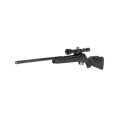 Gamo Big Cat Air Rifle + Scope (4.5mm)