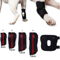 Dog Hock Brace - Short (Please Select Size)