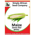 Maize White Zama Star Seeds
