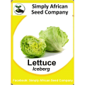 Lettuce (Iceberg) Seeds