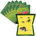 Rat & Mouse Traps Sticky Boards