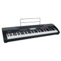 Medeli SP4200 - 88 Key Stage Piano w/ Hammer Action Keys