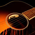 LR Baggs ANTHEM - Acoustic Guitar Pickup w/ Microphone