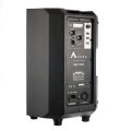 Agera Acoustics SWC-10AP - 10" Active Speaker w/ DSP & BT