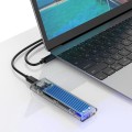 Orico M.2 NVME to USB3.1 Gen-2 Type-C(Enclosure Side) Transparent SSD Enclosure (2TB Max) - Blue Hea