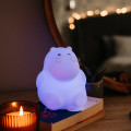 Rechargeable LED Kids HIPPO Night Light