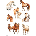 Horse Craft Stickers: PET Sheets for Journaling
