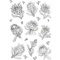 Colour Me In Sticker Sheets for Colouring, Crafts, and Journaling