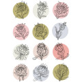 Proteas Sticker Sheet: Vibrant Pastels, Pencil, and Water Colours