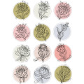 Proteas Sticker Sheet: Vibrant Pastels, Pencil, and Water Colours