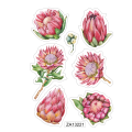 Proteas Sticker Sheet: Craft Stickers, Journaling, Water Colours