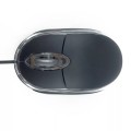 Illuminated Wired USB Mouse
