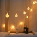 ZYF-43 Bubble Ball LED Fairy String Light With Tail Plug Extension 5m Warm White