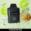 Citrus Gin &amp; Tonic