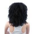 Curly Synthetic Lace Front Wigs Afro Kinky Curly Brazilian Wig