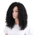 Lace Front Wig Long hair Afro Kinky Curly Wig
