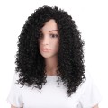 Lace Front Wig Long hair Afro Kinky Curly Wig