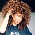 Afro Curly Wig Medium Brown Synthetic Wigs