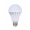 Rechargeable 9W Screw Bulb