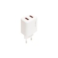 YESPLUS YS-1119 2.4A 2USB Charger - Micro