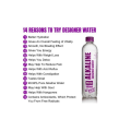 Designer Water  Alkaline Ionized Water PH10 500Ml Bottles Case Of 24