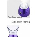 Professional Facial Steamer BY1078