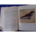 Canaries Seedeaters and Buntings of Southern Africa