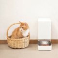 Xiaomi Mijia Smart Automatic Pet Food Dispenser Feeder Bowl APP Control Grain Delivery Container Int