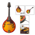 IRIN ME-21 8 Strings Sunset Color Electric Mandolin With Pickle/Wipe Cloth/3M Connection