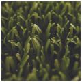 Multi-flor - Astroturf Beautiful Black - Dirt Stopper (40cm x 70cm)