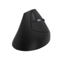 Rapoo Ev250 Ergonomic Wireless Optical Mouse Black