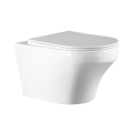 Wall Hung Toilet Set - Alessandro with Grohe Cistern & Flush Plate