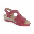TTP Ladies Wedge Heel Sandals XB2308-5