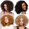 Afro Kinky curly Brazilian Hair African Ameri Curly Body Wavy Women Wig Short Hair