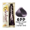 6PP Dark Violet slate ( toner tint) Colortone professional 100ml +100ml 20 vol developer
