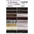 10PP Light Violet slate (toner tint) Colortone professional 100ml +100ml 20 vol developer