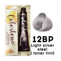 10BP Medium steel silver (toner tint) Colortone professional 100ml +100ml 20 vol developer