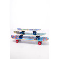 Mini Skateboard 430mm