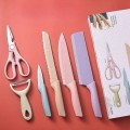 6 Piece Stainless Steel Kitchen Knives  Set With Gift Case Colour
