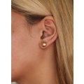 9ct Gold 10mm Half Ball Stud Earrings