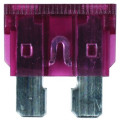 Plug In Fuse - Standard - 40 Amp - 5 Pieces
