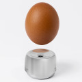 Egg Pricker