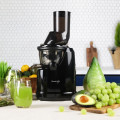 B1700 Whole Slow Juicer