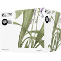 Royal Botanic Gardens Australian Orchids Mug