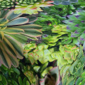 Botanica Succulent Green Rectangular Tablecloth