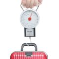 Tape Measure Luggage Weight Hook Scale  22kg