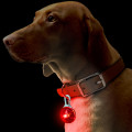 DOG/PET LED PENDANT CLIP ON SAFETY NIGHT LIGHT
