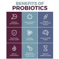 Probiotic - PRO B FLORA - Night use
