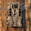 Bushnell 32MP CORE DS-4K No Glow Trail Camera